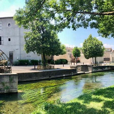 Quai Du Felibre Apartment L'Isle-sur-la-Sorgue Ngoại thất bức ảnh